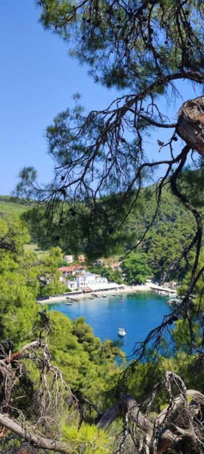 Skopelos country house Diamantis&Chrisi Agnontas Exterior foto